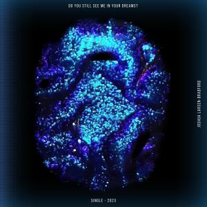 ดาวน์โหลดและฟังเพลง Do You Still See Me In Your Dreams? (Explicit) พร้อมเนื้อเพลงจาก Joshua Larsen-Bradford