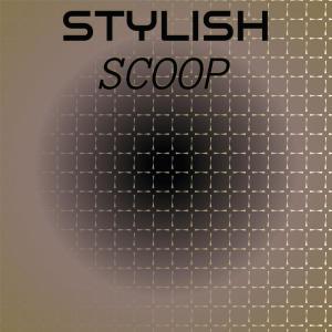 Various Artists的專輯Stylish Scoop