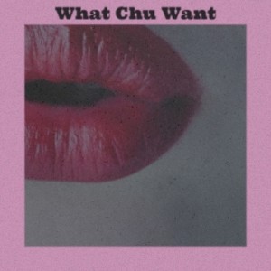 Album What Chu Want from Various