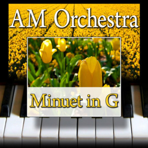 收聽AM Orchestra的Minuet in G歌詞歌曲