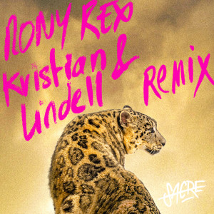 Listen to 09:00PM THE COCONUT BAR (Rony Rex & Kristian Lindell Remix) song with lyrics from Sacre