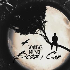 Wadiwa Musiq的專輯Becoz I can