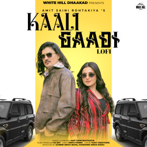 Album Kaali Gaadi Lo-Fi from Amit Saini Rohtakiya