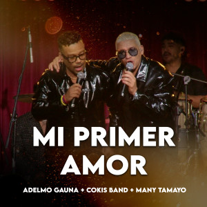 Listen to Mi Primer Amor (En Vivo) song with lyrics from Adelmo Gauna