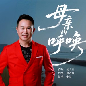 Listen to 母亲的呼唤 (Live) song with lyrics from 金波