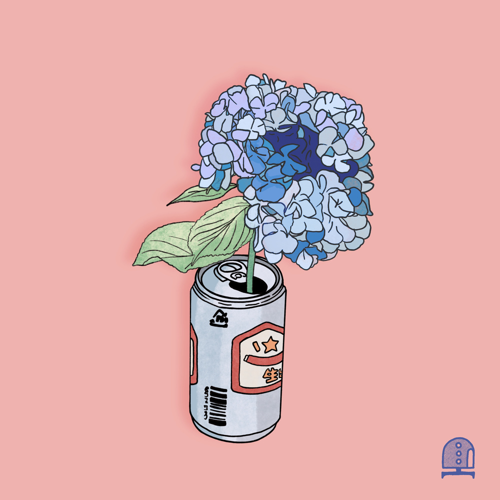 hydrangea