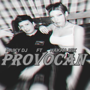 ดาวน์โหลดและฟังเพลง Provocan พร้อมเนื้อเพลงจาก Naiky Dj