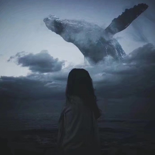 沉思的鲸 Med.Wh.