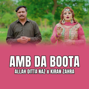 的專輯Amb Da Boota