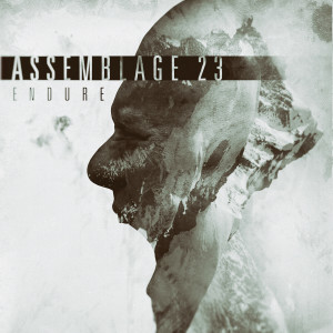 Album Endure from Assemblage 23