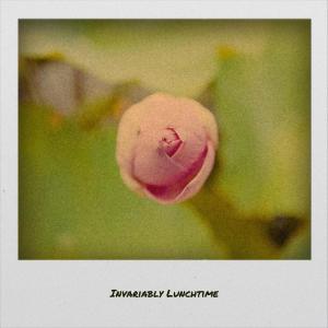 ดาวน์โหลดและฟังเพลง Invariably Lunchtime พร้อมเนื้อเพลงจาก Jaca Poler
