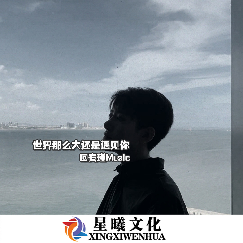 名声在外有好有坏 以前是以前现在是现在 (DJ安瑾版)