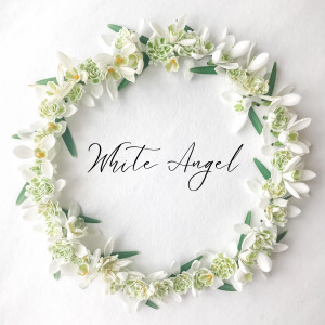 Various Artists的专辑White Angel