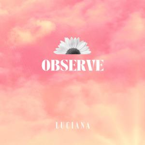 Luciana的专辑Observe