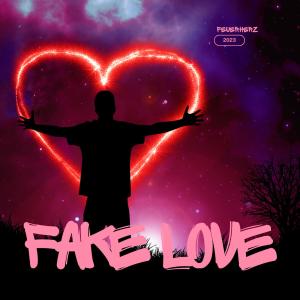 Feuerherz的專輯Fake love
