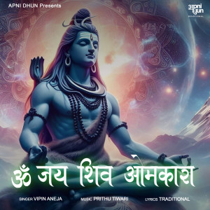 Vipin Aneja的专辑Om Jai Shiv Omkara