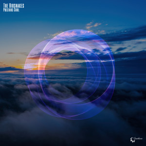 Album Precious Soul from The Biosnakes