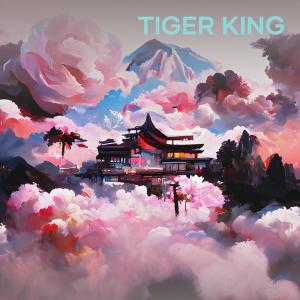 Nashwa的專輯Tiger King