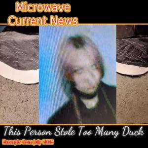 Microwave的專輯Microwave Current News