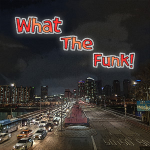Listen to What the Funk song with lyrics from Good Wood