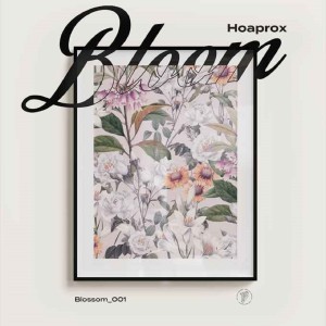 Album Bloom oleh Hoaprox
