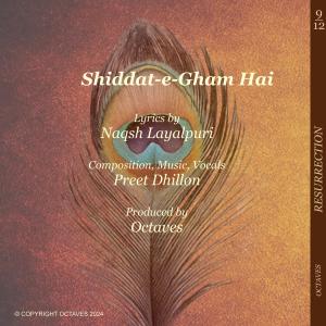 Preet Dhillon的專輯Shiddat-e-Gham Hai