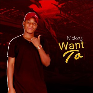 ดาวน์โหลดและฟังเพลง Want To พร้อมเนื้อเพลงจาก Nickzy