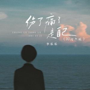 Album 伤了痛了是自己 (DJ浩然版) from 李乐乐