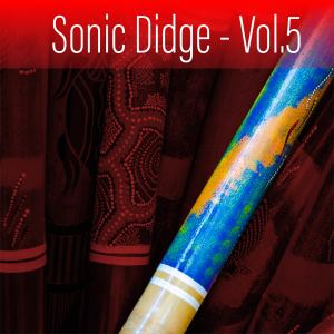 Sonic Didge, Vol. 5