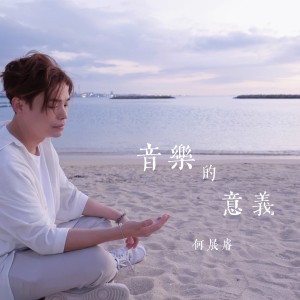 Album 音乐的意义 (Live) from Steve Ho