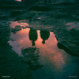 ดาวน์โหลดและฟังเพลง The Flood พร้อมเนื้อเพลงจาก Forester