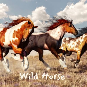 Listen to Wild Horse song with lyrics from Clark Kessinger