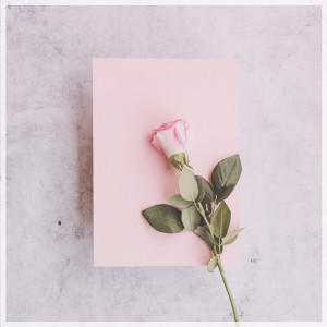 Album The Rose from Meiske Lofi