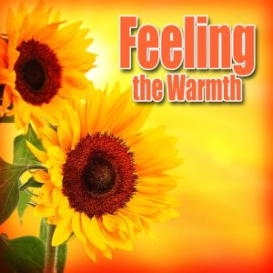 ดาวน์โหลดและฟังเพลง Two Minds Meeting with the Sound of Tranquil Nighttime Nature พร้อมเนื้อเพลงจาก Nature Sounds Nature Music