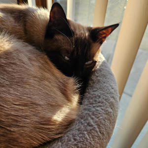 收聽¿Lyyjah27?的Watch That Van (feat. Summrs Archive|Explicit)歌詞歌曲