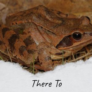 ดาวน์โหลดและฟังเพลง Fun Wherewithal พร้อมเนื้อเพลงจาก Jarl Topo
