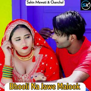 ดาวน์โหลดและฟังเพลง Bhooli Na Jawe Malook พร้อมเนื้อเพลงจาก Sahin Mewati