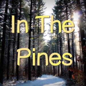 收聽Bob Dylan的In the Pines歌詞歌曲