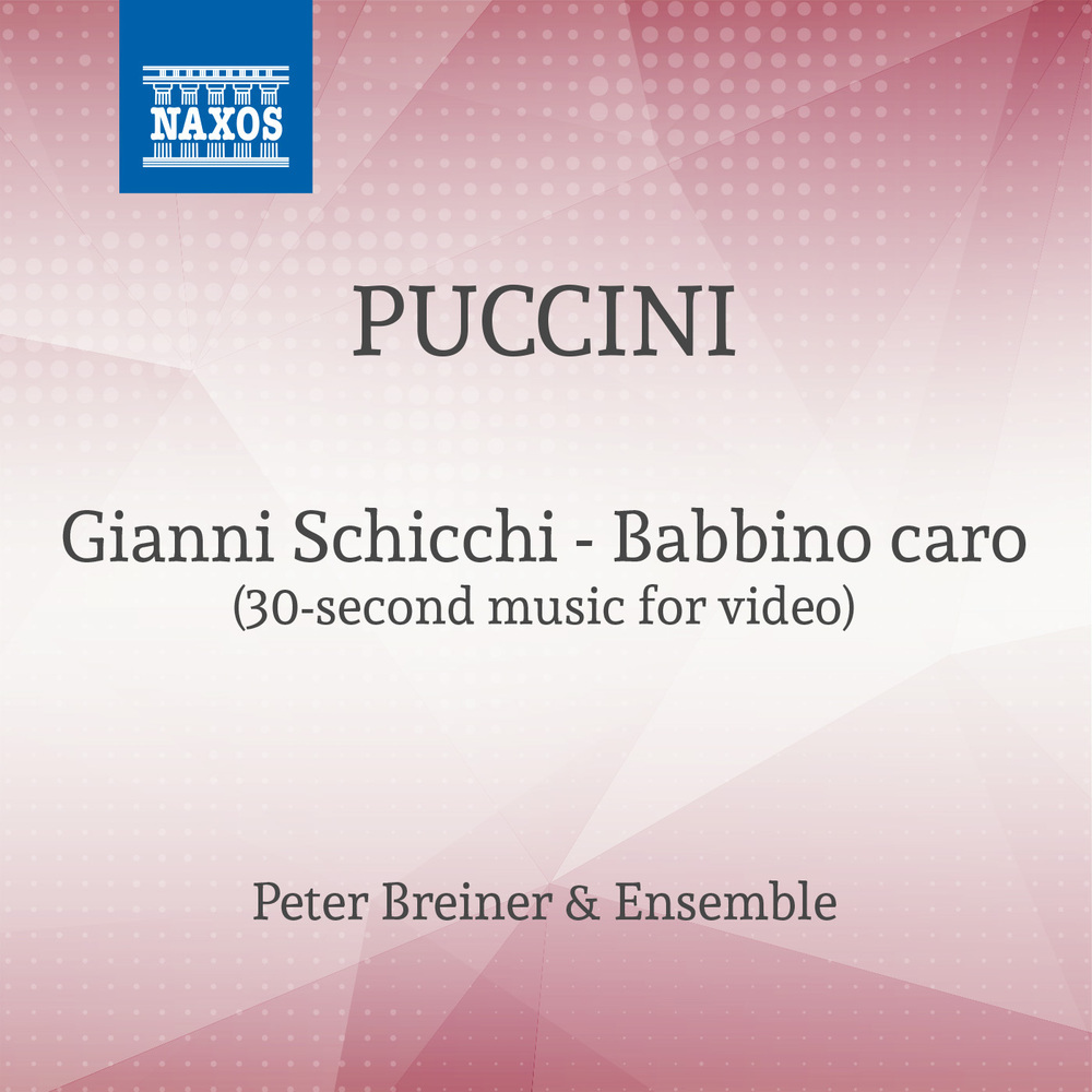 Gianni Schicchi - Babbino caro (30 sec Version for Tiktok)