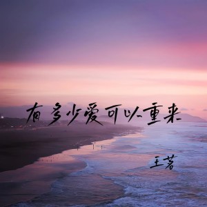 Listen to 有多少爱可以重来 song with lyrics from 王茗