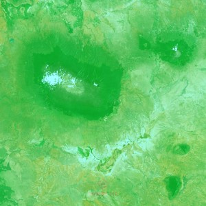 ดาวน์โหลดและฟังเพลง Zip Line พร้อมเนื้อเพลงจาก Quadrumana