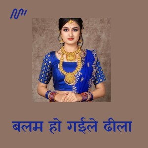 Radha Pandey的专辑Balam Ho Gaeele Dhila