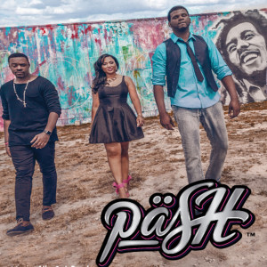 Listen to More Than Friends song with lyrics from Pash