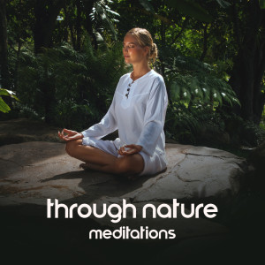 Album Through Nature Meditations (Awakening in the Jungle) from Universe of Nature Orchestra
