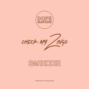Check My Zingo (Explicit) dari Sarkodie