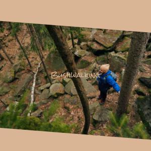 Album Bushwalking oleh Various