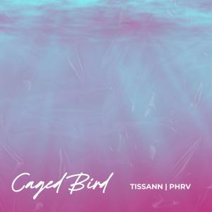 收聽Tissann的Caged Bird歌詞歌曲