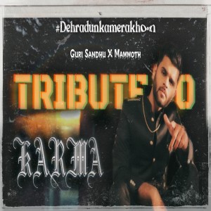 ดาวน์โหลดและฟังเพลง Tribute To Karma พร้อมเนื้อเพลงจาก Guri Sandhu