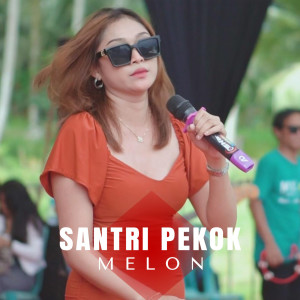 Album Santri Pekok from Melon