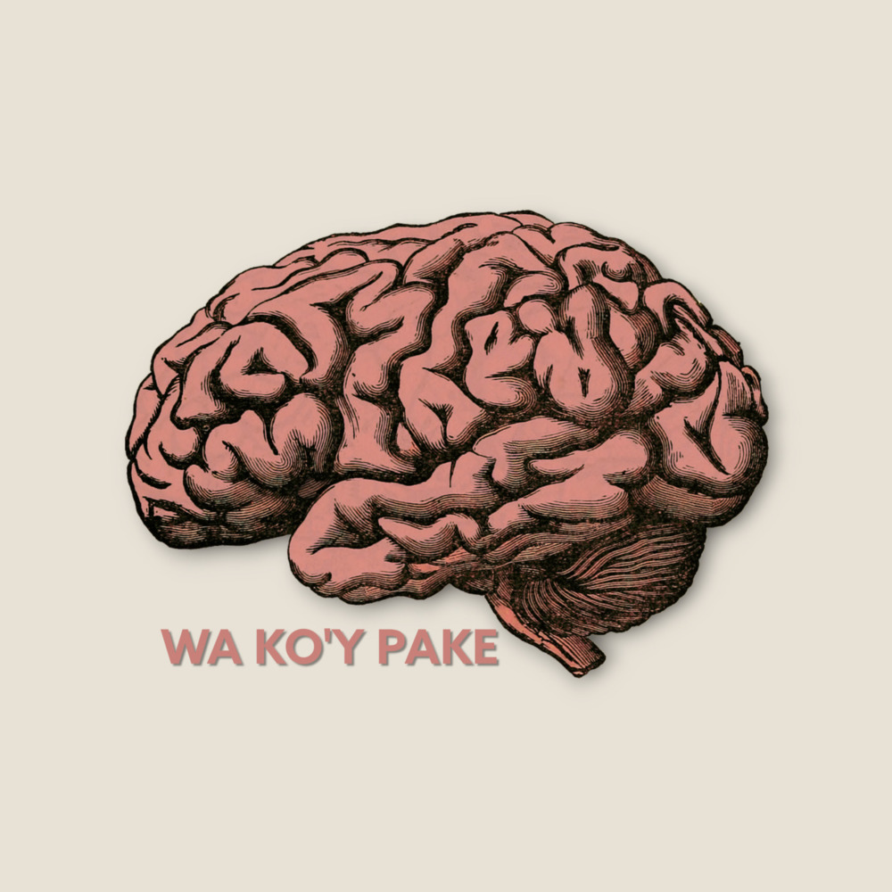 Wa Ko'y Pake